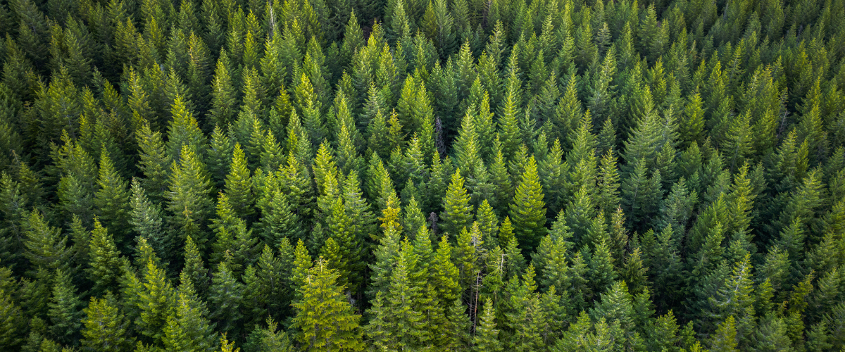 decorative image for 2026 Annual Conference