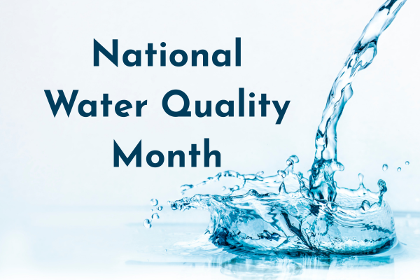 water quality