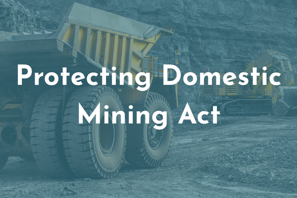 Protecting Domestic Mining Act